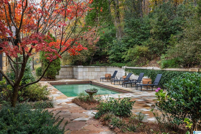 view of pool with a patio