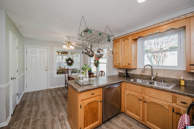 kitchen with stainless steel dishwasher, kitchen peninsula, sink, and a wealth of natural light