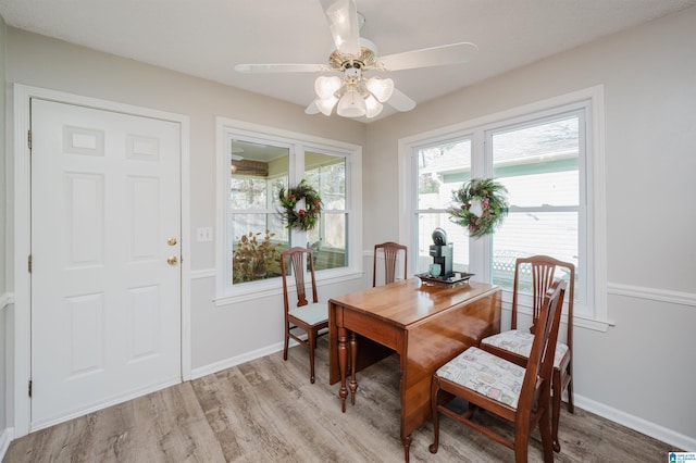 dining space with light hardwood / wood-style floors and ceiling fan