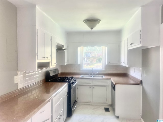 kitchen with white cabinetry, sink, ventilation hood, and appliances with stainless steel finishes