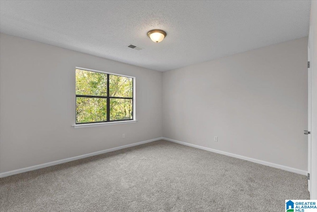 empty room featuring carpet and a textured ceiling