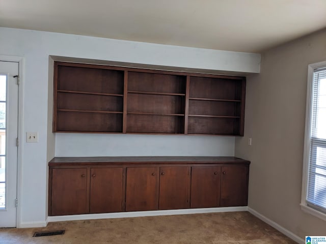 interior space with light colored carpet and dark brown cabinetry