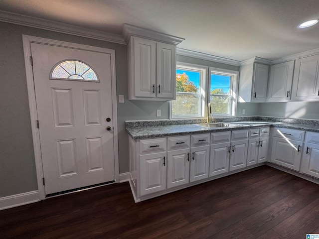 kitchen featuring crown molding, sink, white cabinets, and dark wood-type flooring