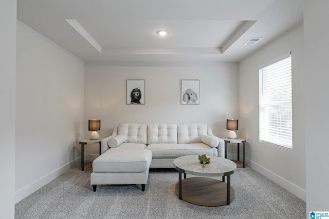 carpeted living room featuring a raised ceiling