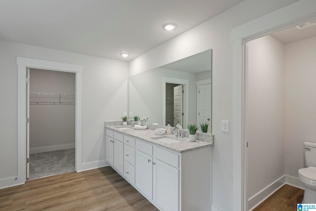 bathroom with vanity, wood-type flooring, and toilet