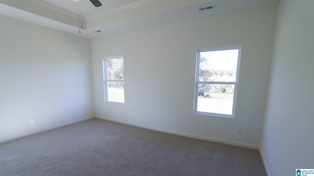 carpeted spare room featuring a raised ceiling, crown molding, and ceiling fan