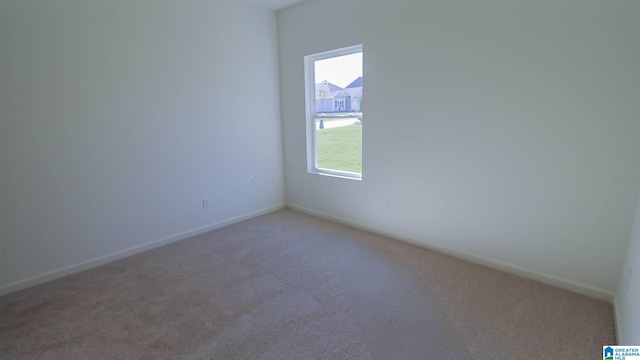 spare room featuring carpet floors