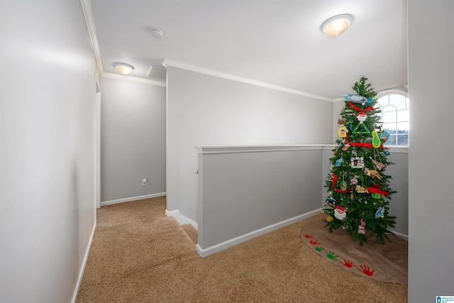 hallway featuring ornamental molding and carpet floors