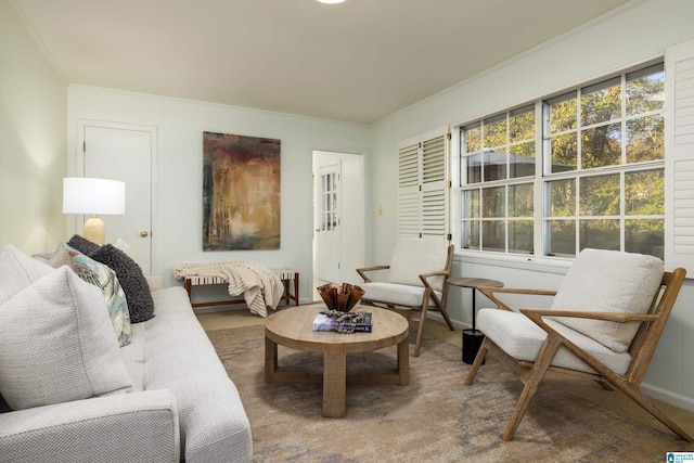 living room featuring ornamental molding