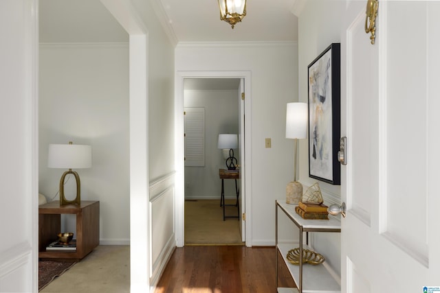 corridor featuring wood-type flooring and crown molding