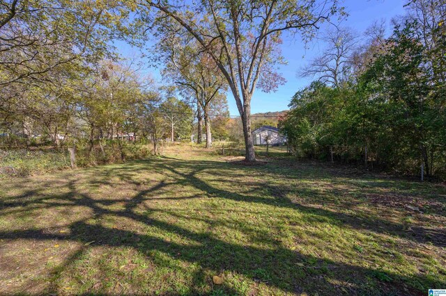 7321 Naples Ave, Birmingham, AL 35206 - view of yard