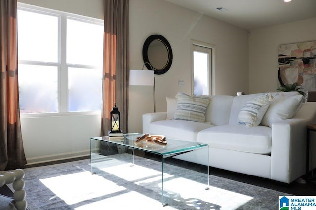 living room featuring a wealth of natural light