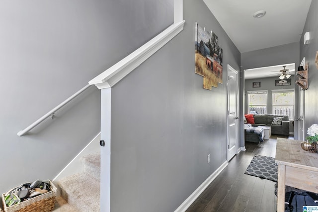 hall with dark wood-type flooring