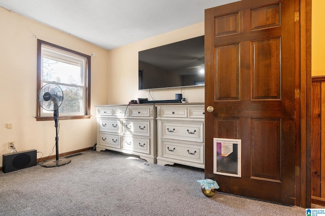 bedroom featuring carpet floors