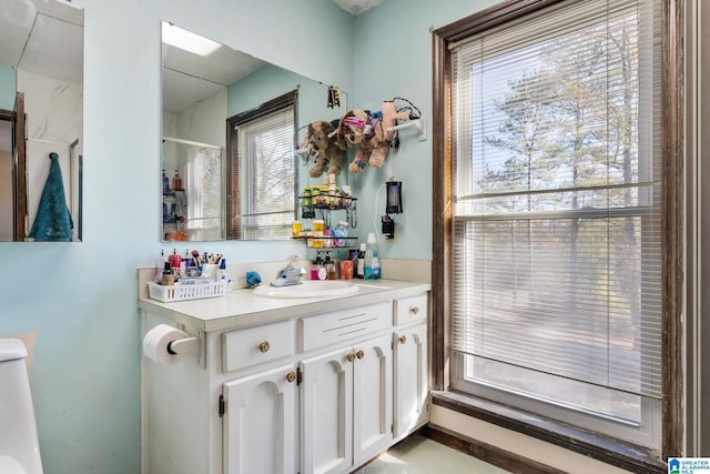 bathroom with vanity, a shower with door, and a wealth of natural light