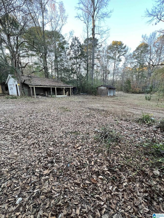 view of yard with a storage shed