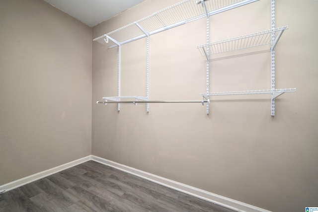 walk in closet featuring dark wood-type flooring