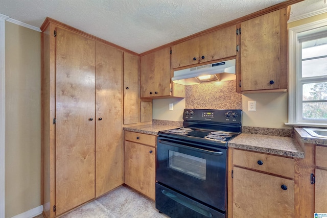 kitchen featuring a wealth of natural light, ornamental molding, a textured ceiling, and black range with electric cooktop