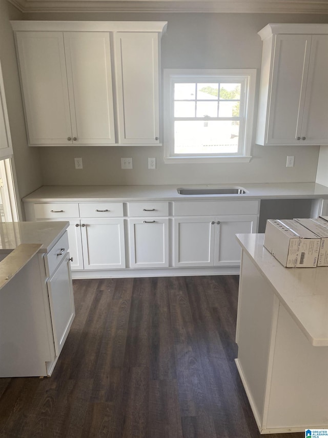 kitchen with white cabinets, dark hardwood / wood-style floors, ornamental molding, and sink