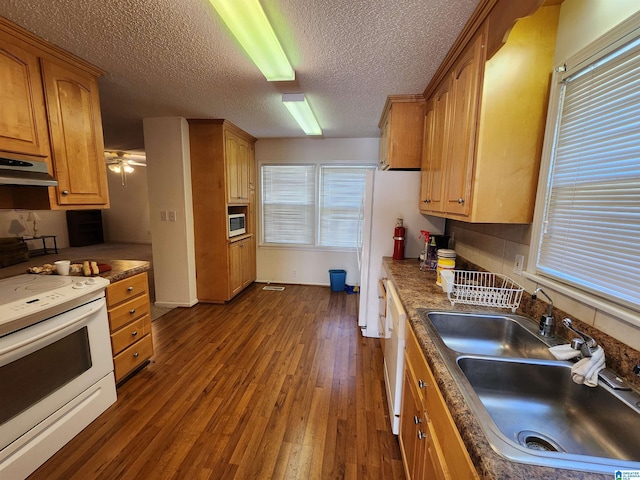 kitchen featuring sink, dark wood-type flooring, ventilation hood, a textured ceiling, and white appliances