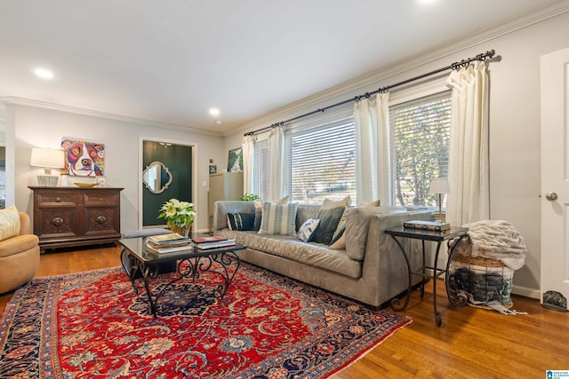 living room with crown molding and hardwood / wood-style floors