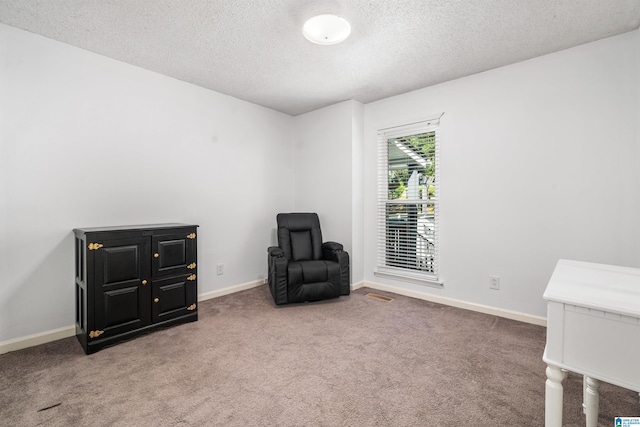 sitting room featuring carpet floors and a textured ceiling