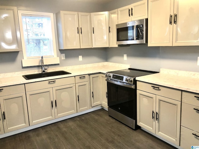 kitchen with stainless steel appliances, dark hardwood / wood-style floors, and sink