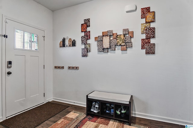 entrance foyer with dark wood-type flooring