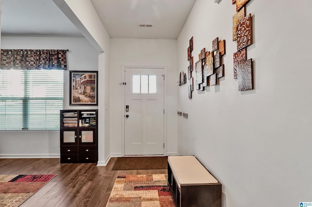 entrance foyer with dark hardwood / wood-style flooring and a healthy amount of sunlight