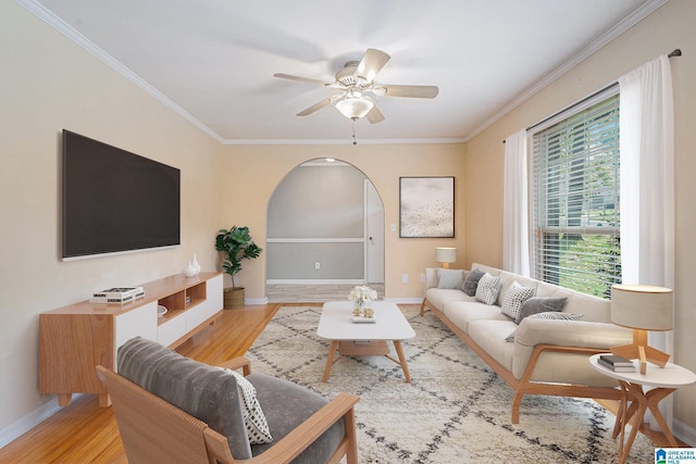 living room with light hardwood / wood-style floors, ceiling fan, and crown molding