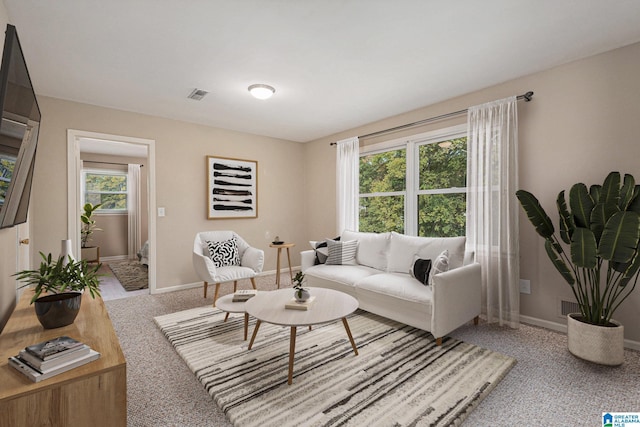 carpeted living room with plenty of natural light