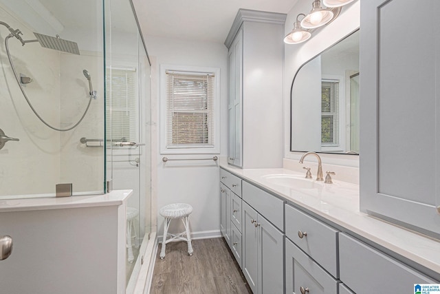 bathroom featuring wood-type flooring, vanity, and a shower with door