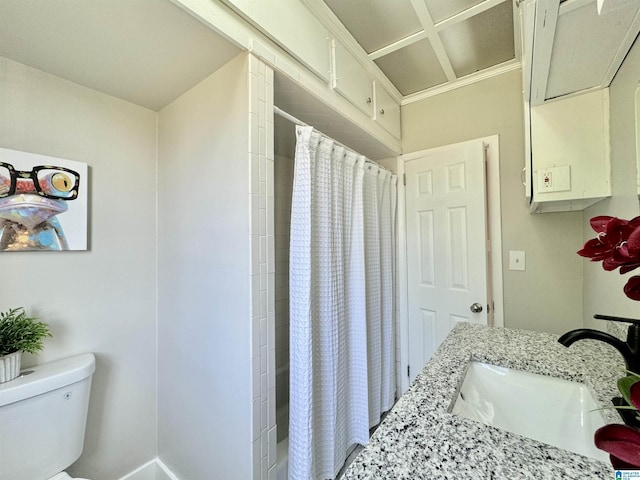 bathroom with toilet, curtained shower, and sink