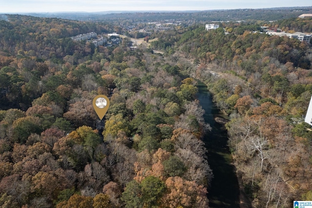 bird's eye view