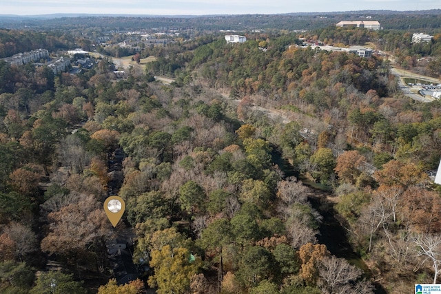 aerial view