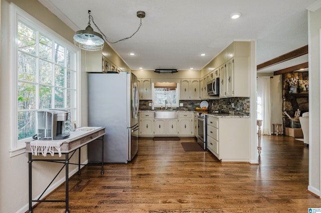 kitchen featuring appliances with stainless steel finishes, dark hardwood / wood-style floors, and plenty of natural light