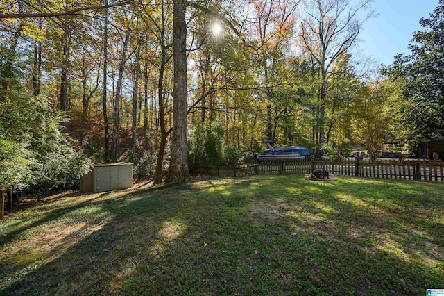 view of yard featuring a storage unit