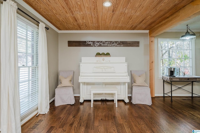 interior space featuring dark hardwood / wood-style flooring, plenty of natural light, and wooden ceiling