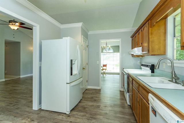 kitchen with plenty of natural light, sink, hardwood / wood-style floors, and white appliances