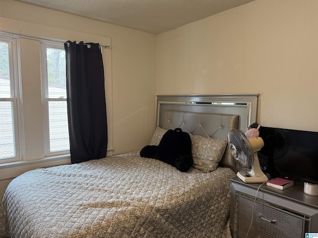 bedroom featuring multiple windows and a textured ceiling