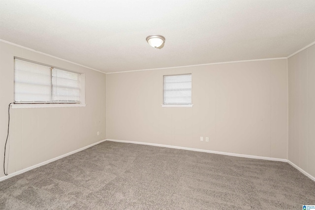 carpeted empty room with a wealth of natural light and crown molding