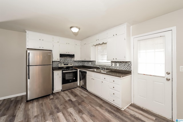 kitchen featuring dark wood-type flooring, a wealth of natural light, sink, and stainless steel appliances