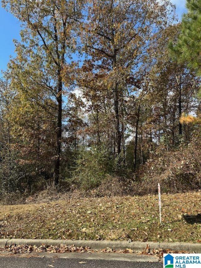 113 Crest Dr Unit 1, Chelsea, AL 35043