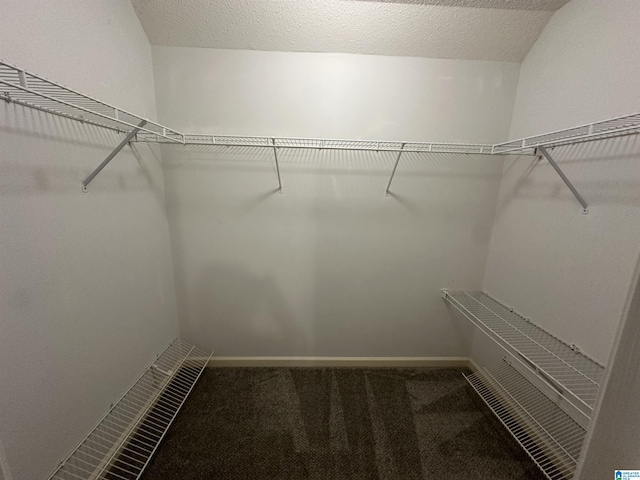 spacious closet with carpet floors