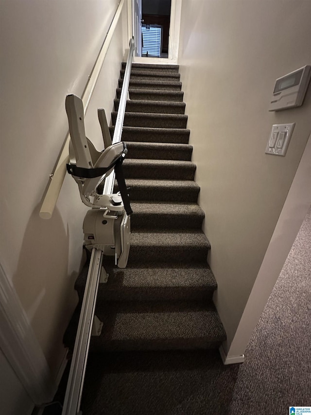 staircase featuring carpet flooring