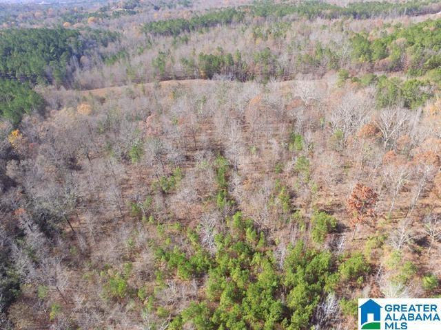 385 Carr Rd Unit 0, Alpine AL, 35014 land for sale