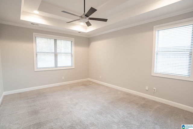 spare room with a raised ceiling, carpet flooring, a healthy amount of sunlight, and ornamental molding