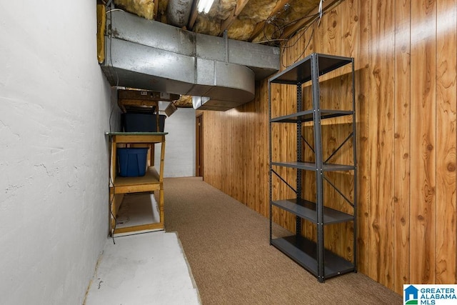 basement with wooden walls