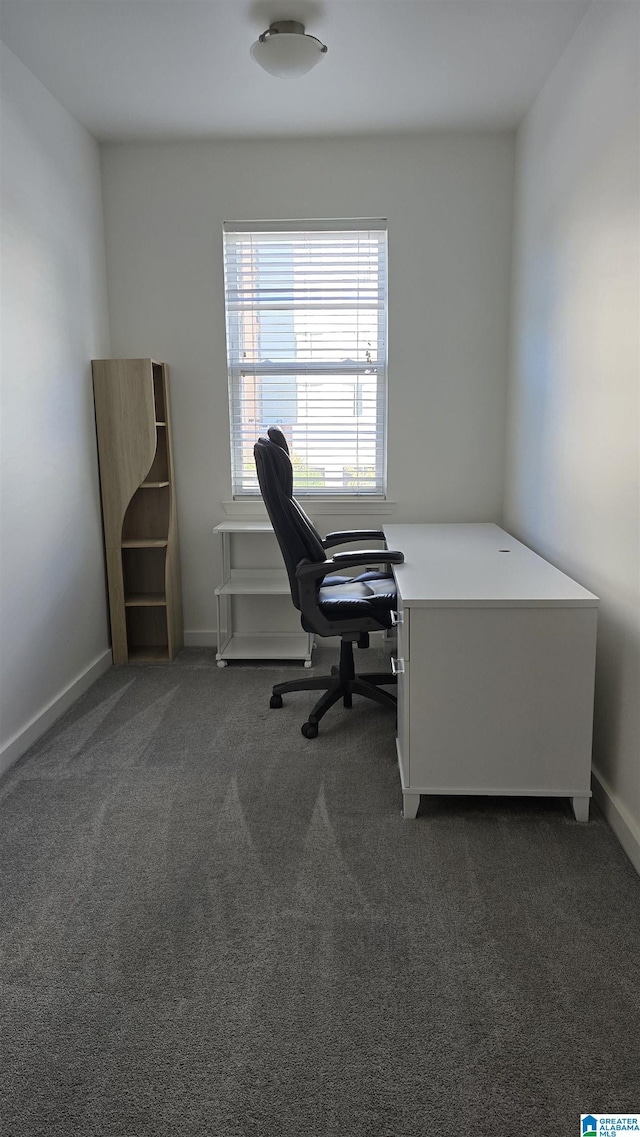 office space with dark colored carpet