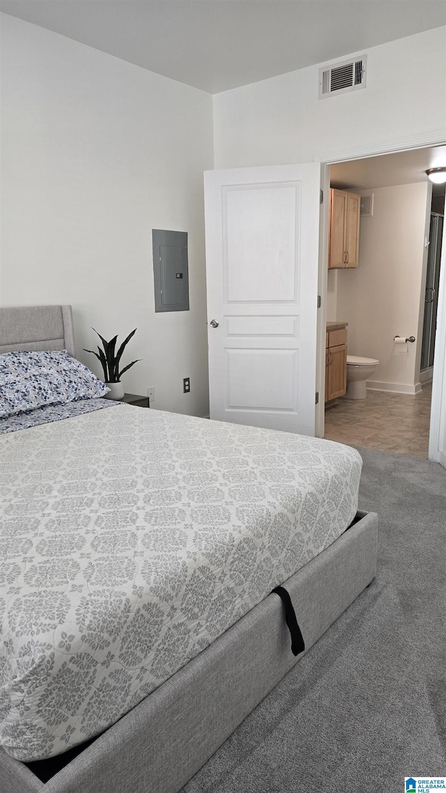401 20th St Unit 208, Birmingham, AL 35233 - carpeted bedroom featuring electric panel, baseboards, and ensuite bath
